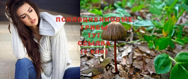 герыч Верея
