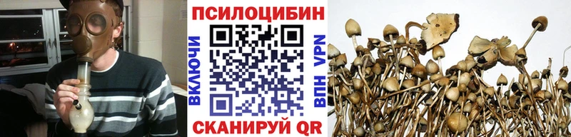 Псилоцибиновые грибы прущие грибы  Нариманов 